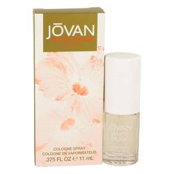 Jovan White Musk Cologne Spray for Women (11ml / 59ml)